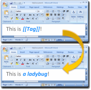Templater example: a ladybug