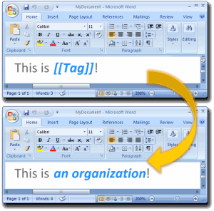 Templater example: an organization